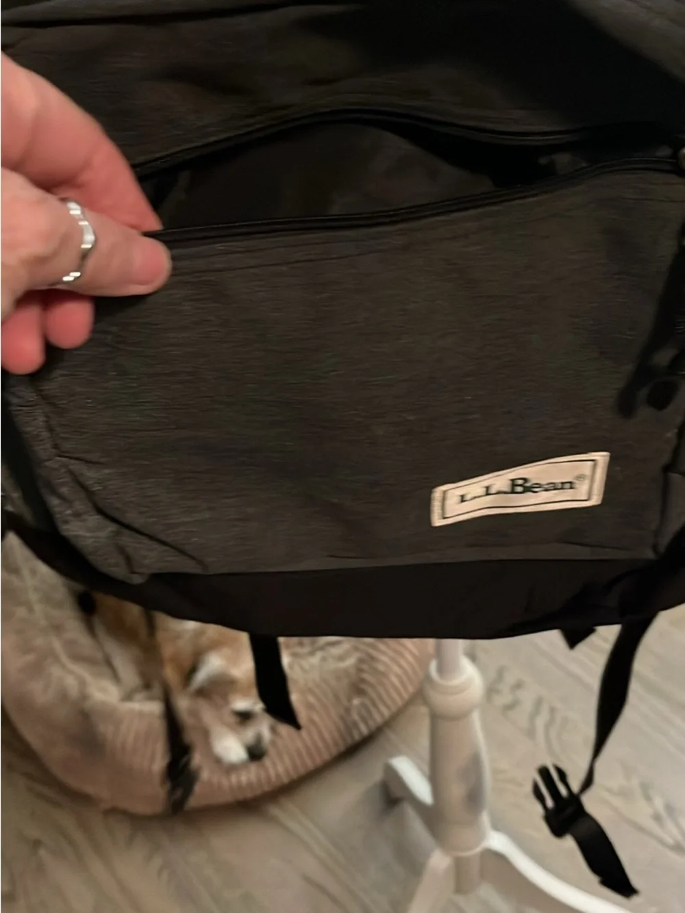 L.L. Bean durable everyday